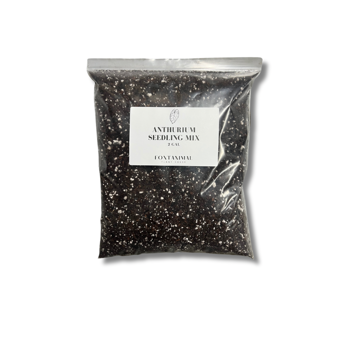 Anthurium Seedling Mix