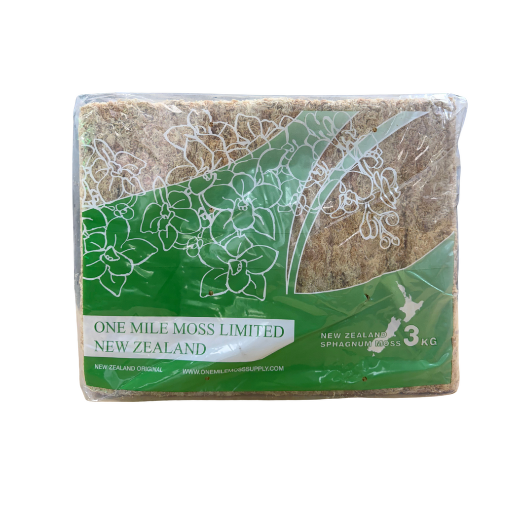 ONE MILE MOSS (6 inch strand) AA+ quality 3kg bale