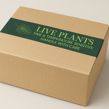 Load image into Gallery viewer, Premium Self-Adhesive Tape
