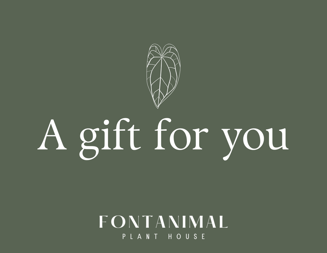 Fontanimal Plant House Gift Card